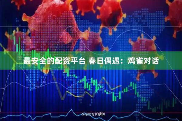 最安全的配资平台 春日偶遇：鸡雀对话